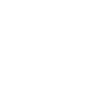 Shock absorbers